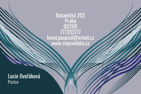 Vizitky - Šablona ID 11895