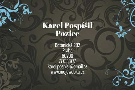 Vizitky - Šablona ID 11907