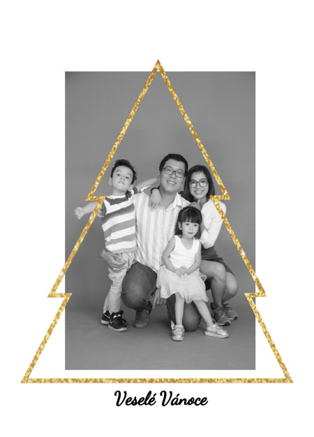 Vánoční a novoroční přání - Šablona ID 12935