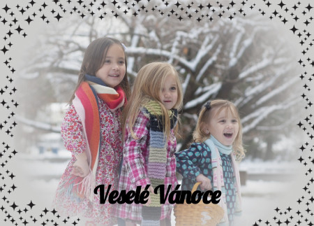 Vánoční a novoroční přání - Šablona ID 12950