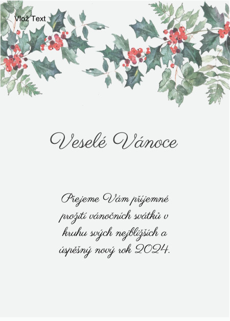 Vánoční a novoroční přání - Šablona ID 12959