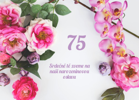 Pozvánky na oslavu - Šablona ID 12997