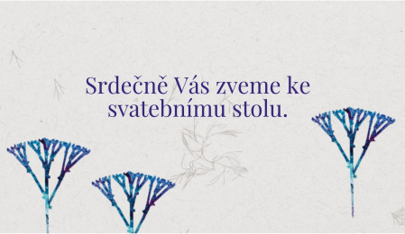 Pozvánky k svatebnímu stolu - Šablona ID 13200