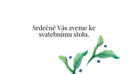 Pozvánky k svatebnímu stolu - Šablona ID 13215