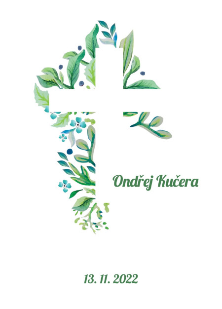 Pozvánky na oslavu - Šablona ID 13338