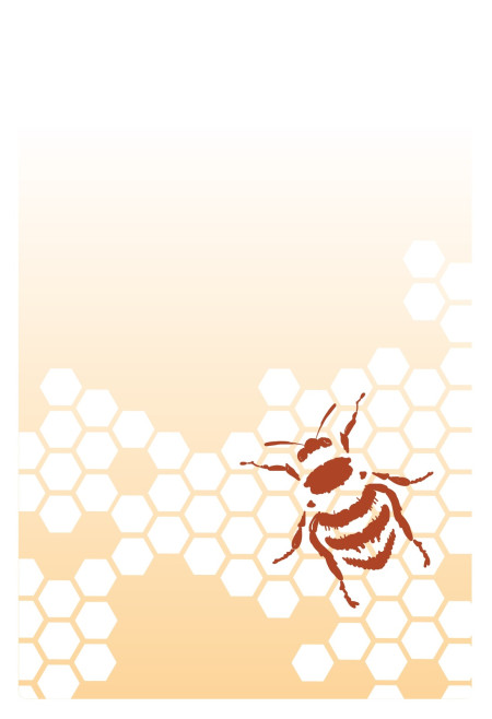 Etikety na lahve - Šablona ID 17342